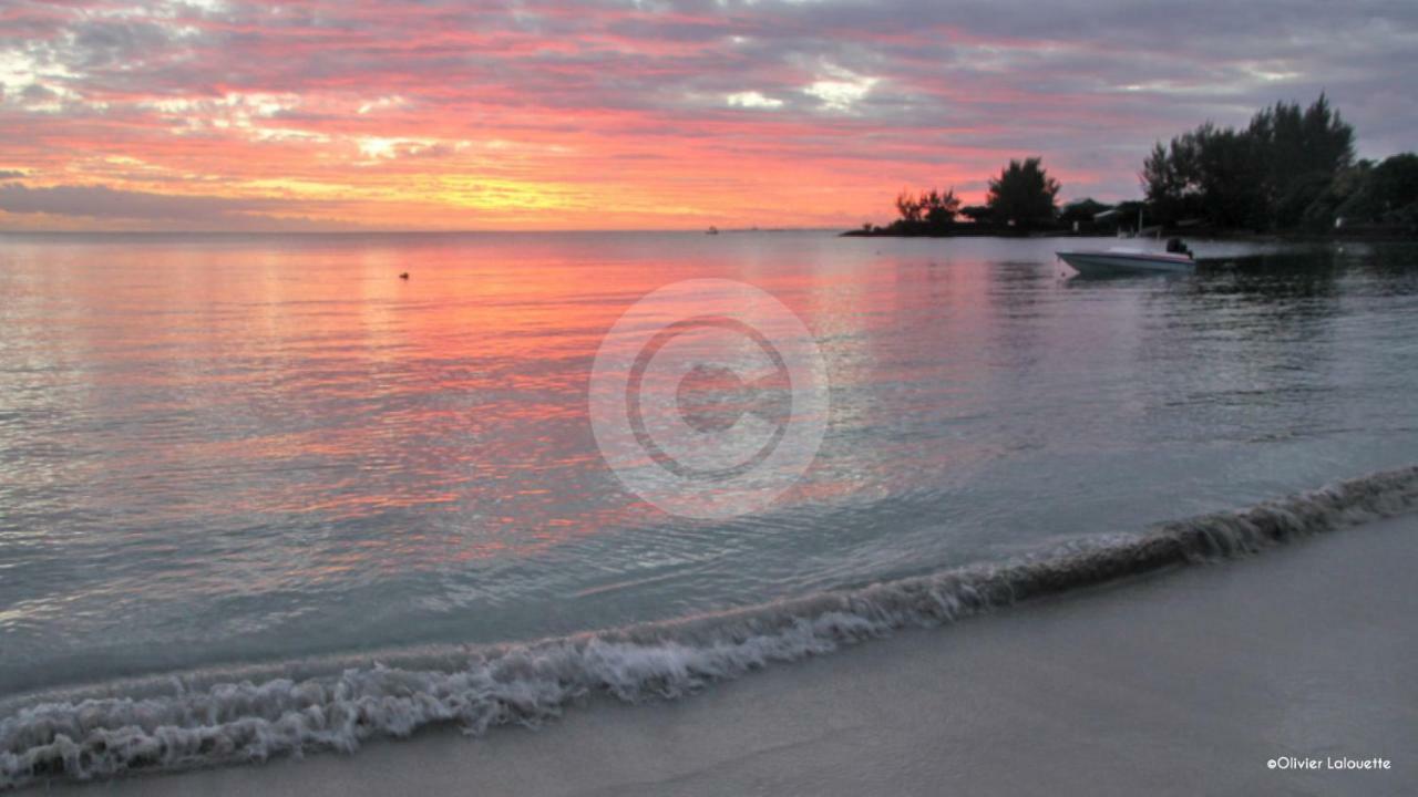 Fantastic Spacious Beachfront Villavacances Grand Bay Εξωτερικό φωτογραφία